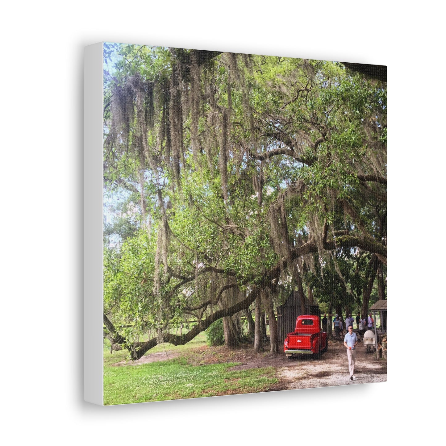 Charleston, South Carolina Canvas Gallery Wraps