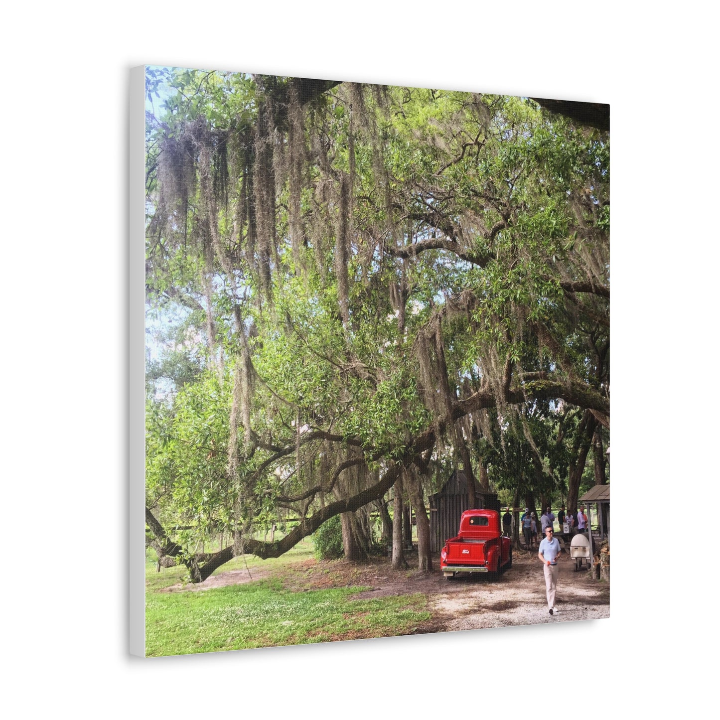 Charleston, South Carolina Canvas Gallery Wraps