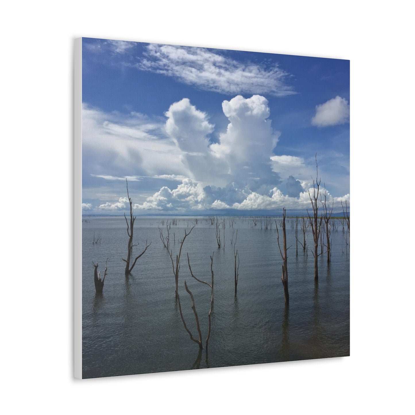 Lake Kariba Zimbabwe Canvas Gallery Wraps