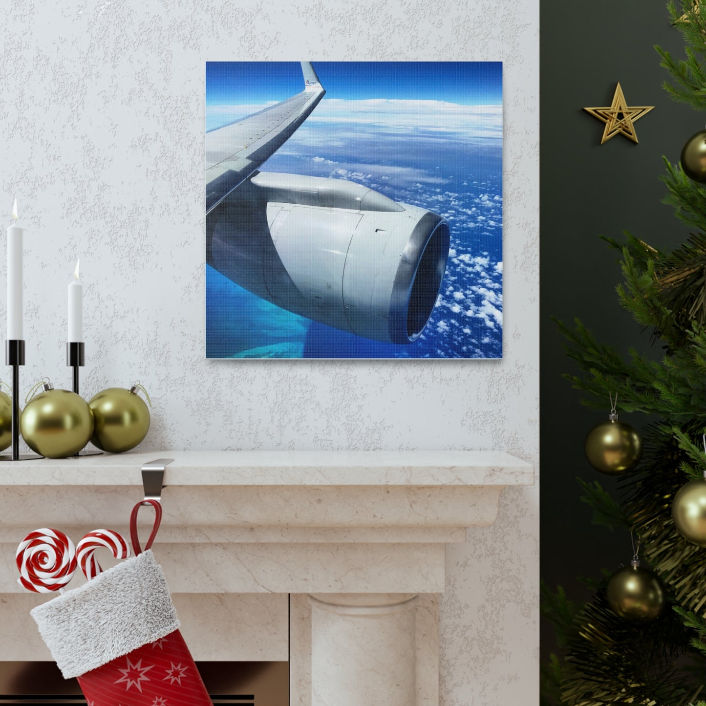 Caribbean Flight Canvas Gallery Wraps