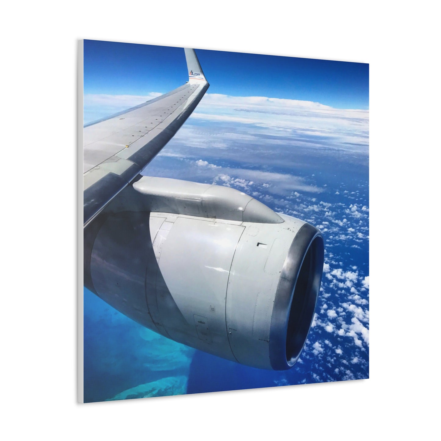 Caribbean Flight Canvas Gallery Wraps