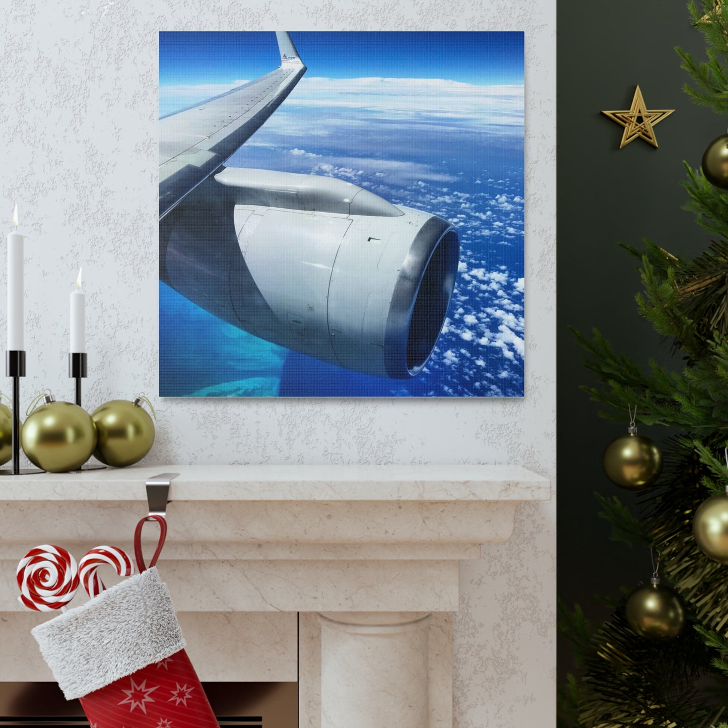 Caribbean Flight Canvas Gallery Wraps