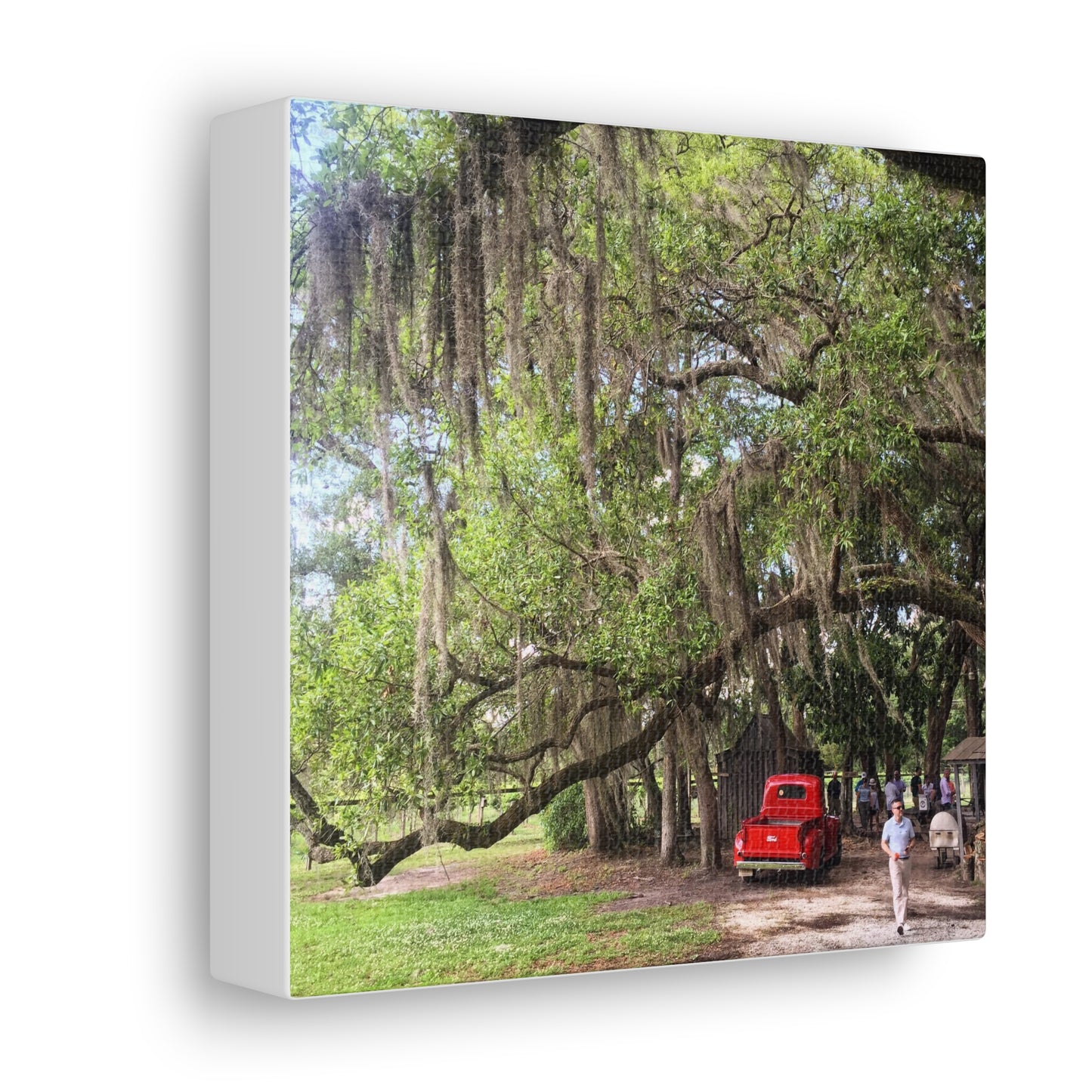 Charleston, South Carolina Canvas Gallery Wraps