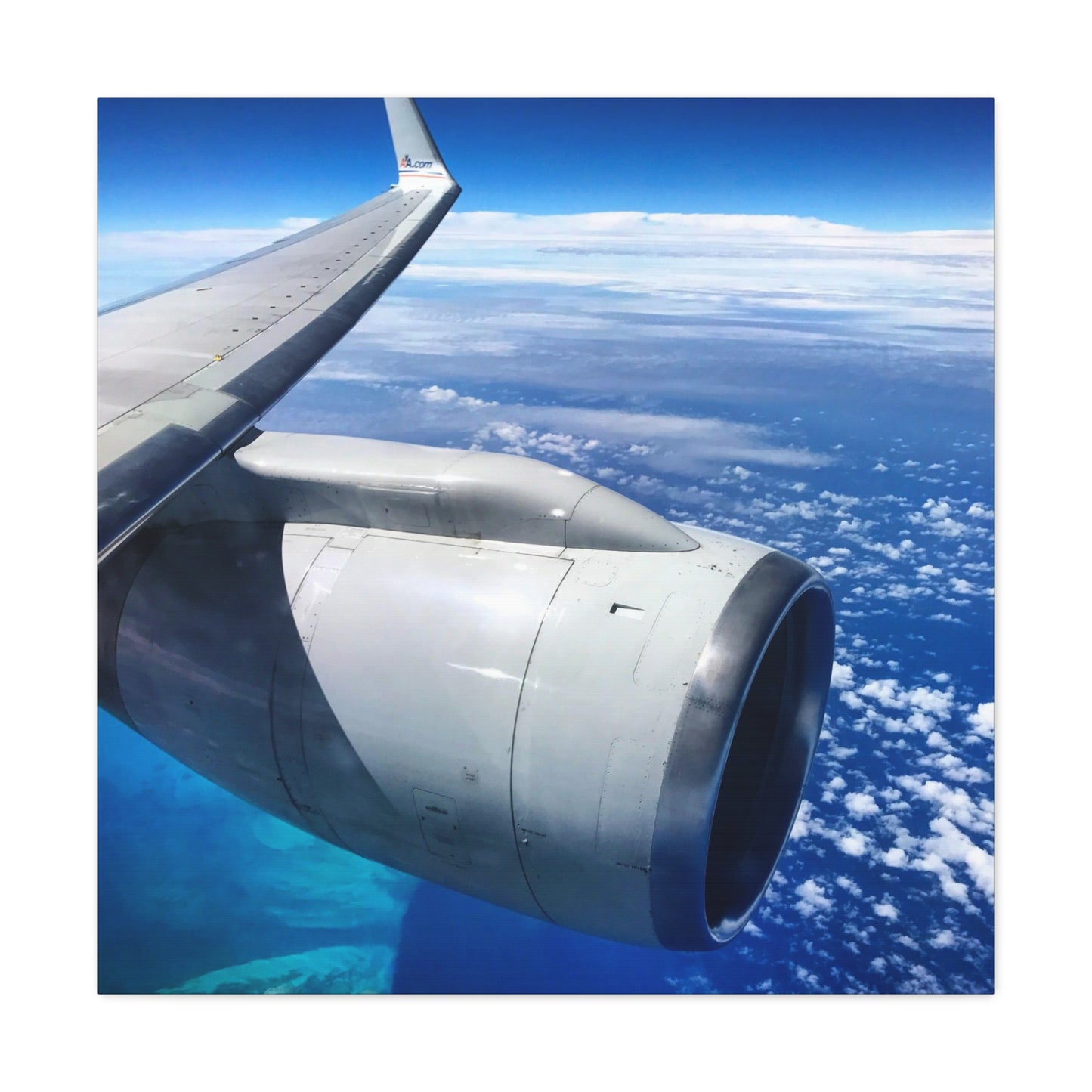 Caribbean Flight Canvas Gallery Wraps