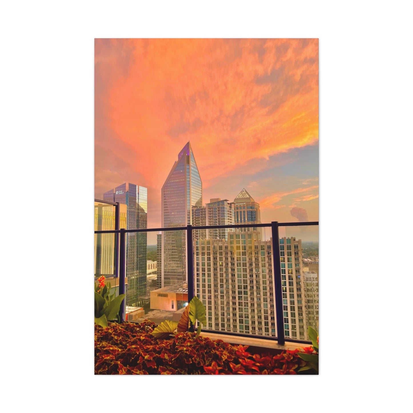 Uptown Charlotte Sunset Matte Canvas