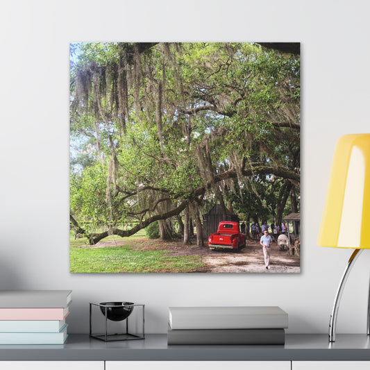 Charleston, South Carolina Canvas Gallery Wraps