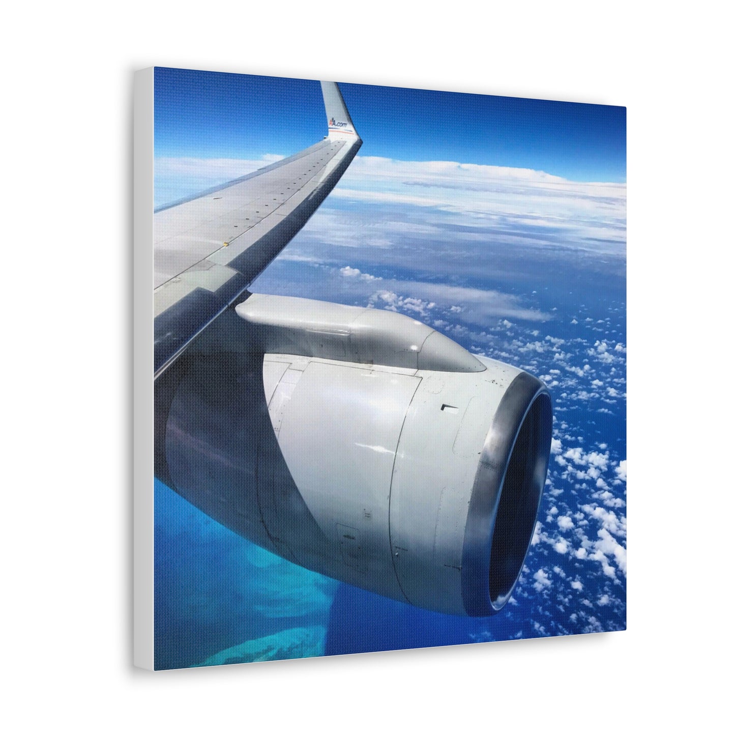 Caribbean Flight Canvas Gallery Wraps