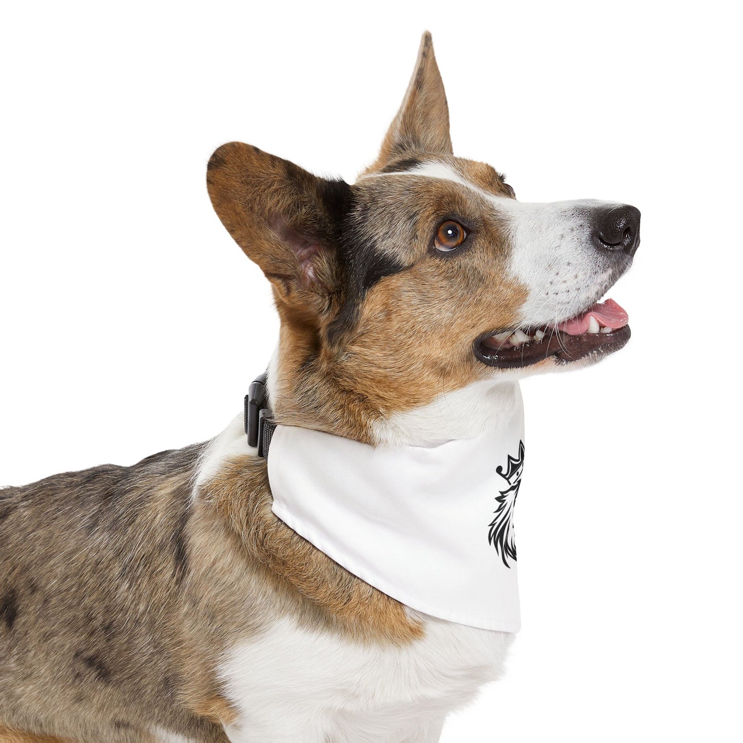 Pet Bandana Collar