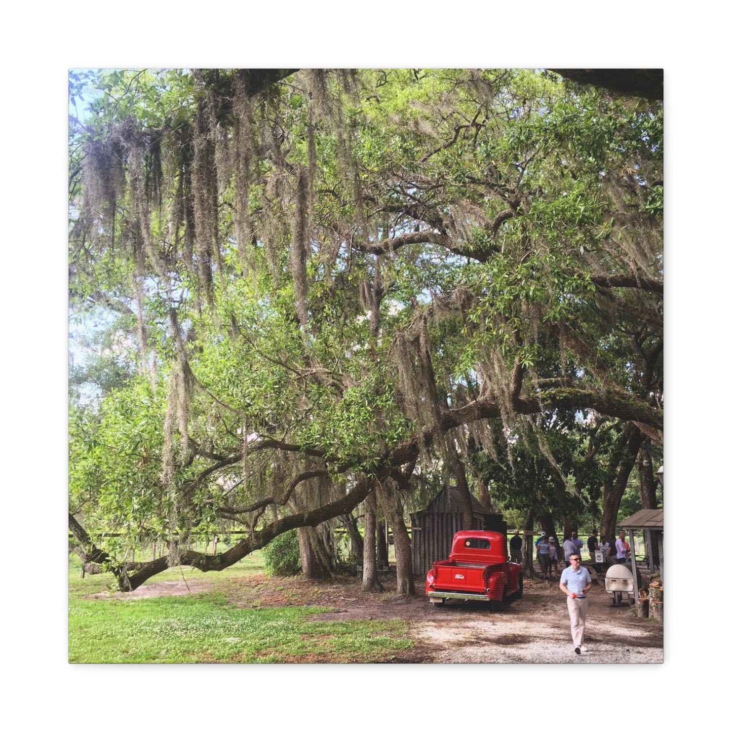 Charleston, South Carolina Canvas Gallery Wraps