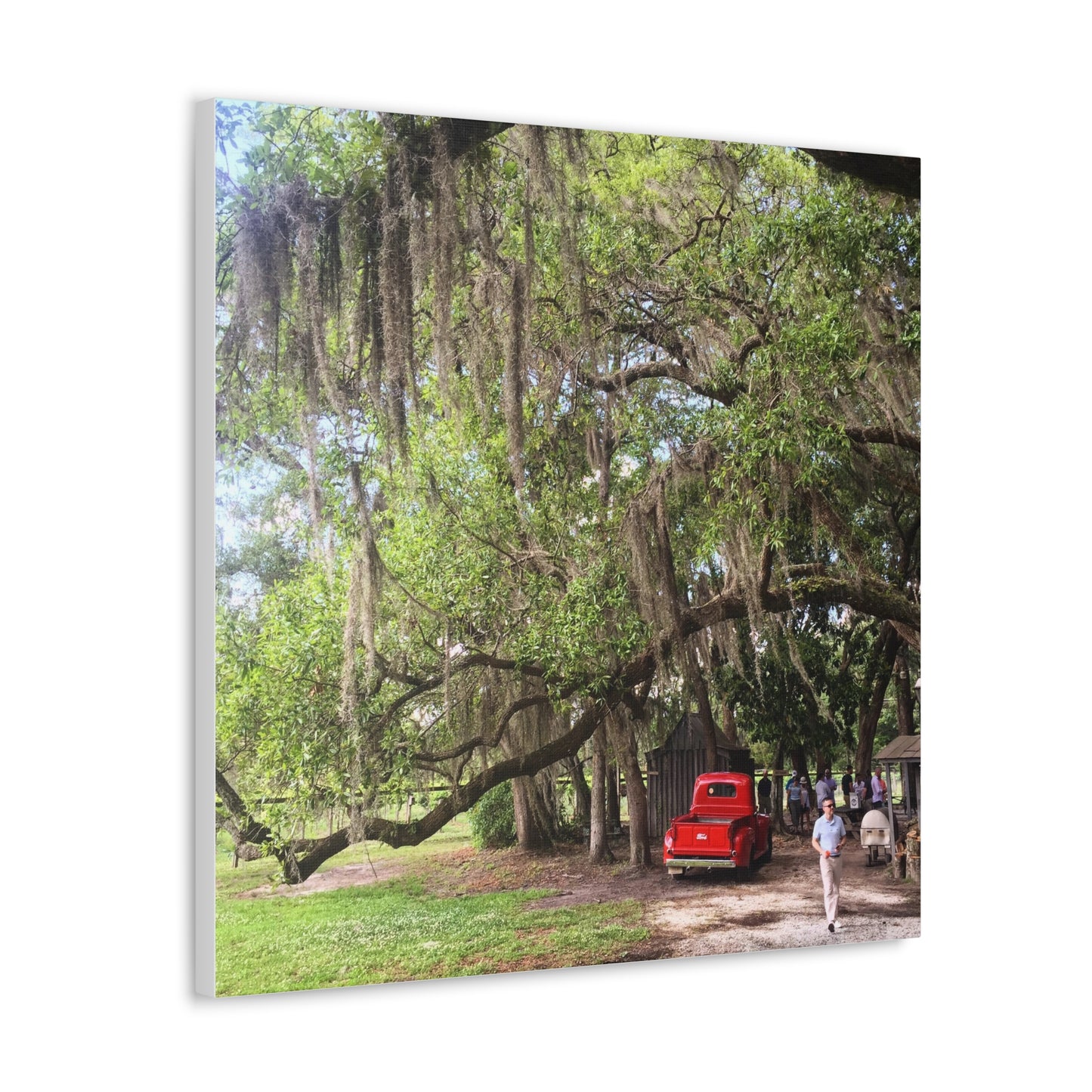 Charleston, South Carolina Canvas Gallery Wraps