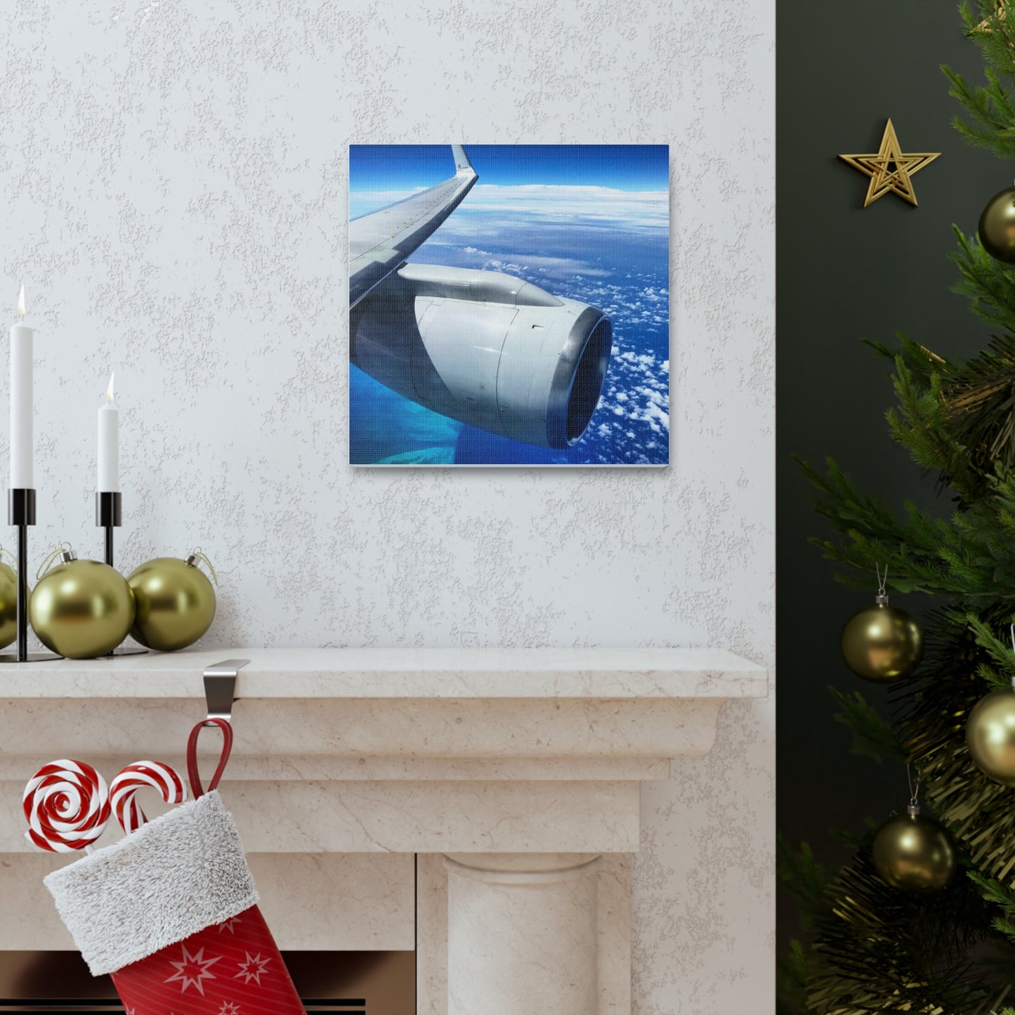 Caribbean Flight Canvas Gallery Wraps