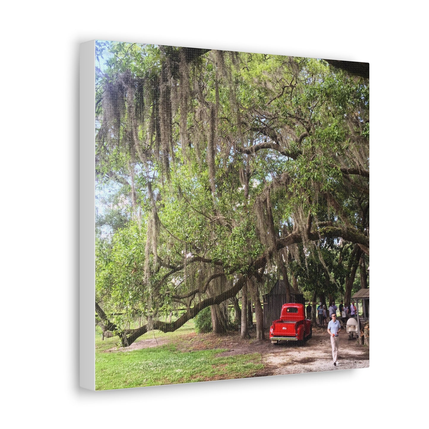 Charleston, South Carolina Canvas Gallery Wraps