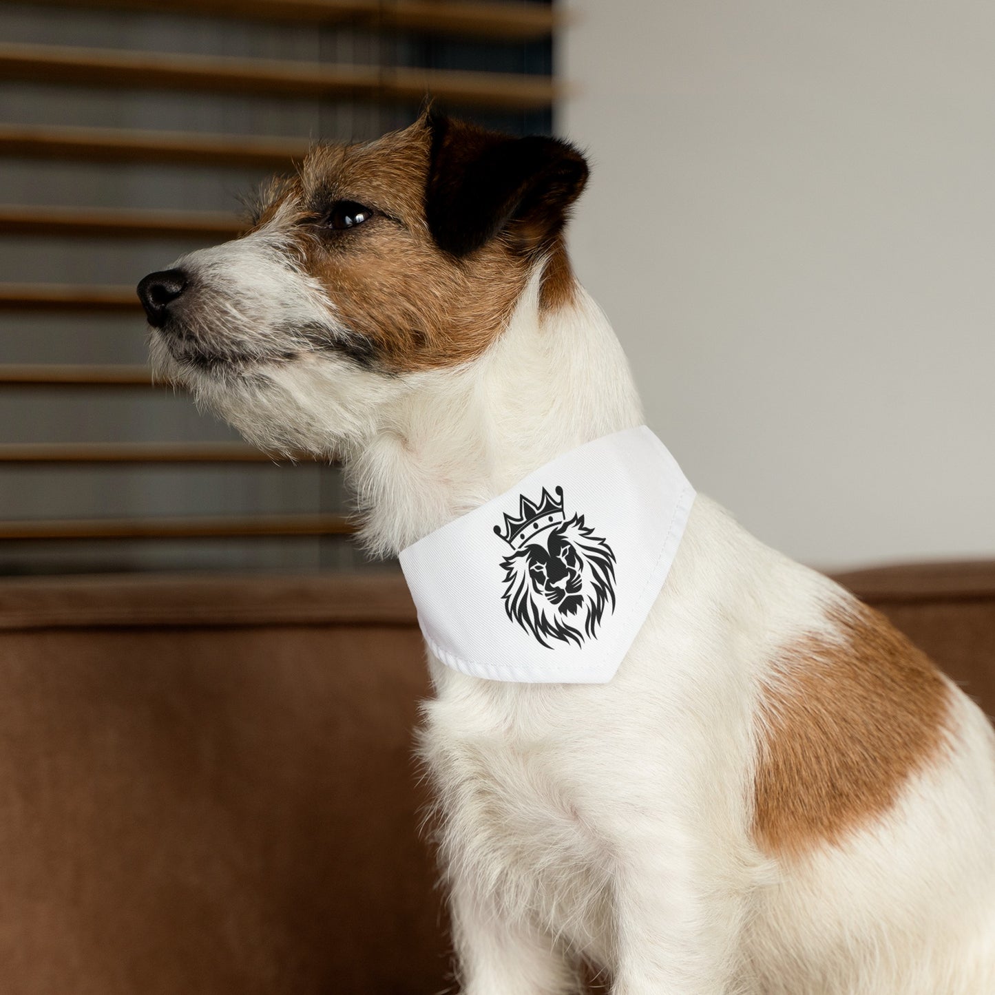 Pet Bandana Collar