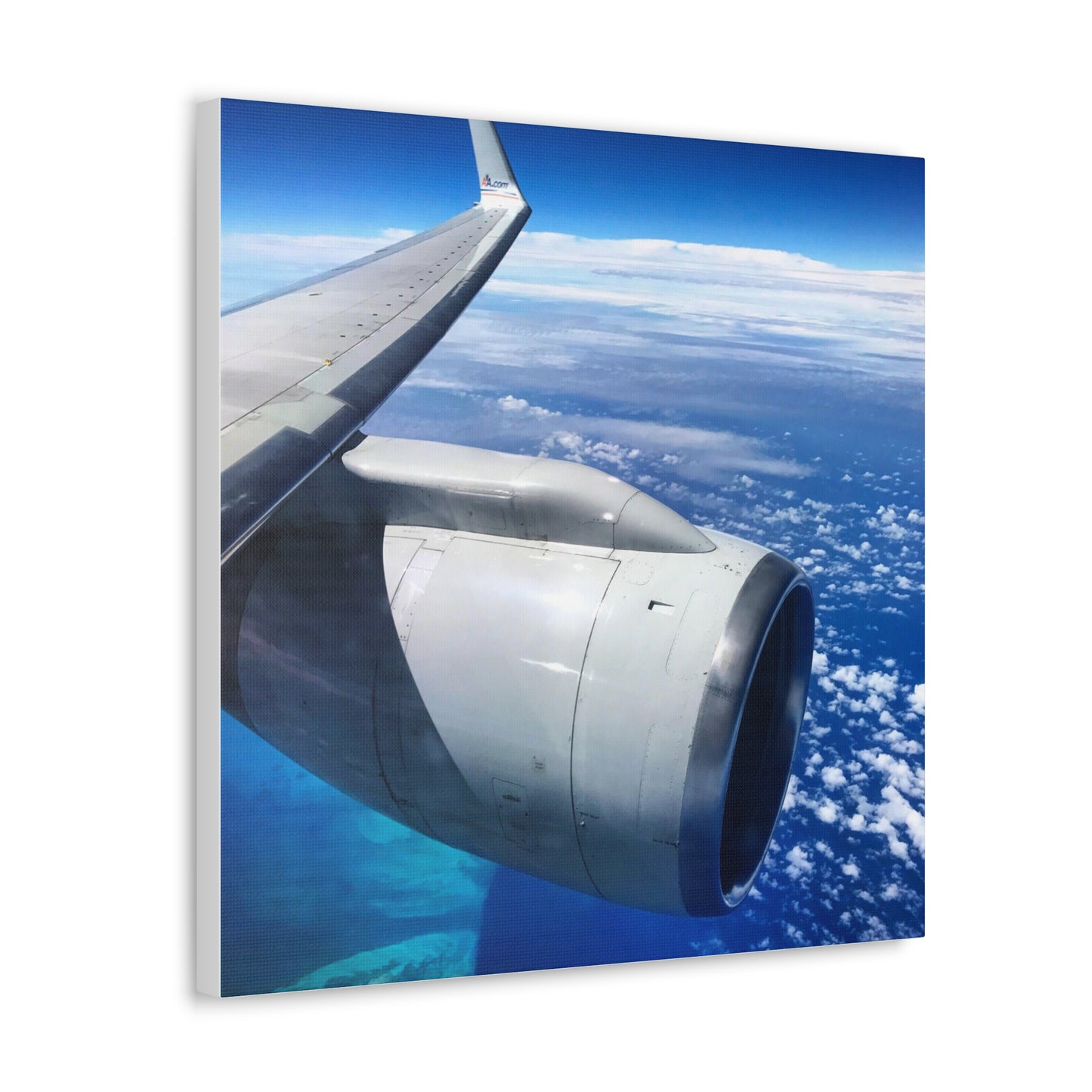 Caribbean Flight Canvas Gallery Wraps