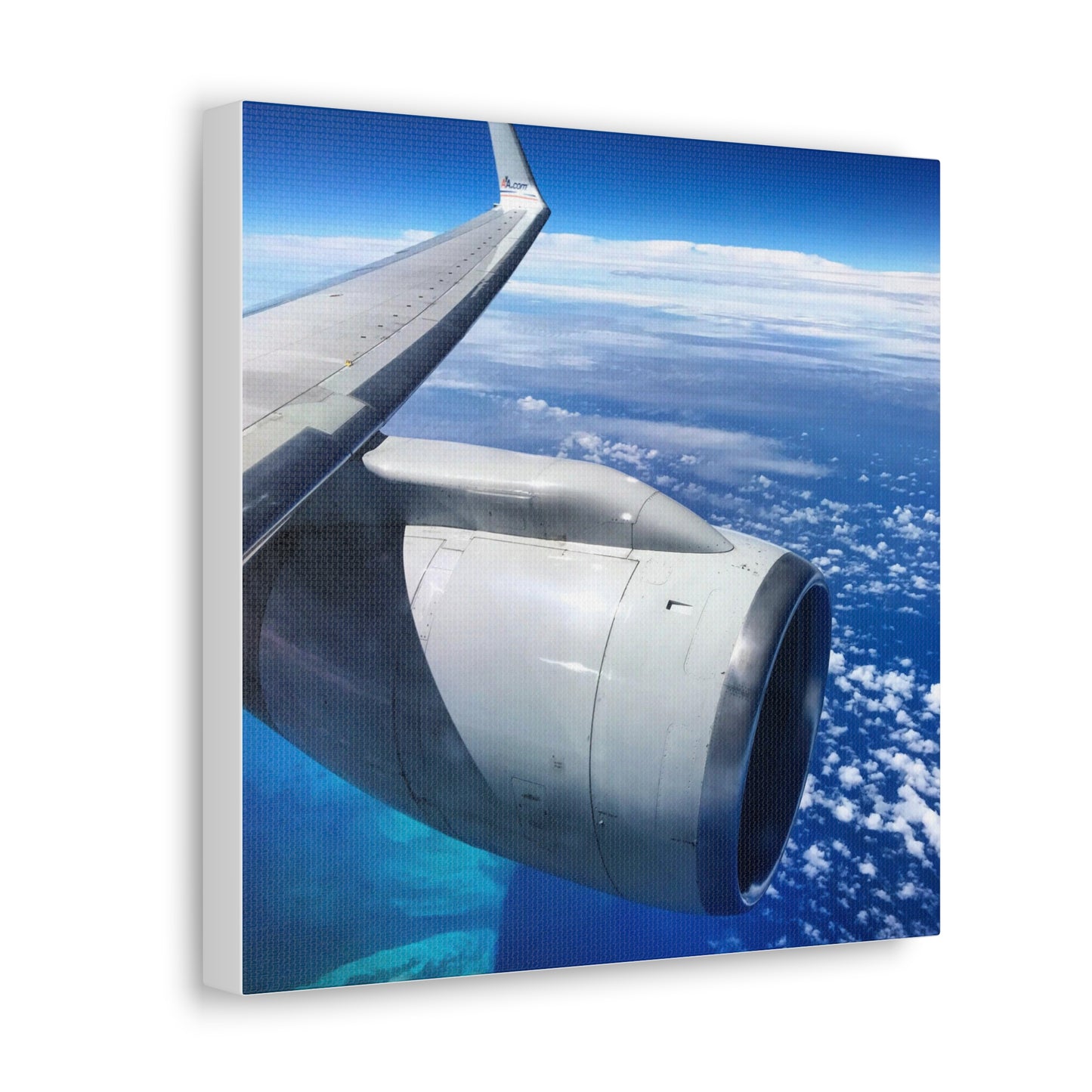 Caribbean Flight Canvas Gallery Wraps